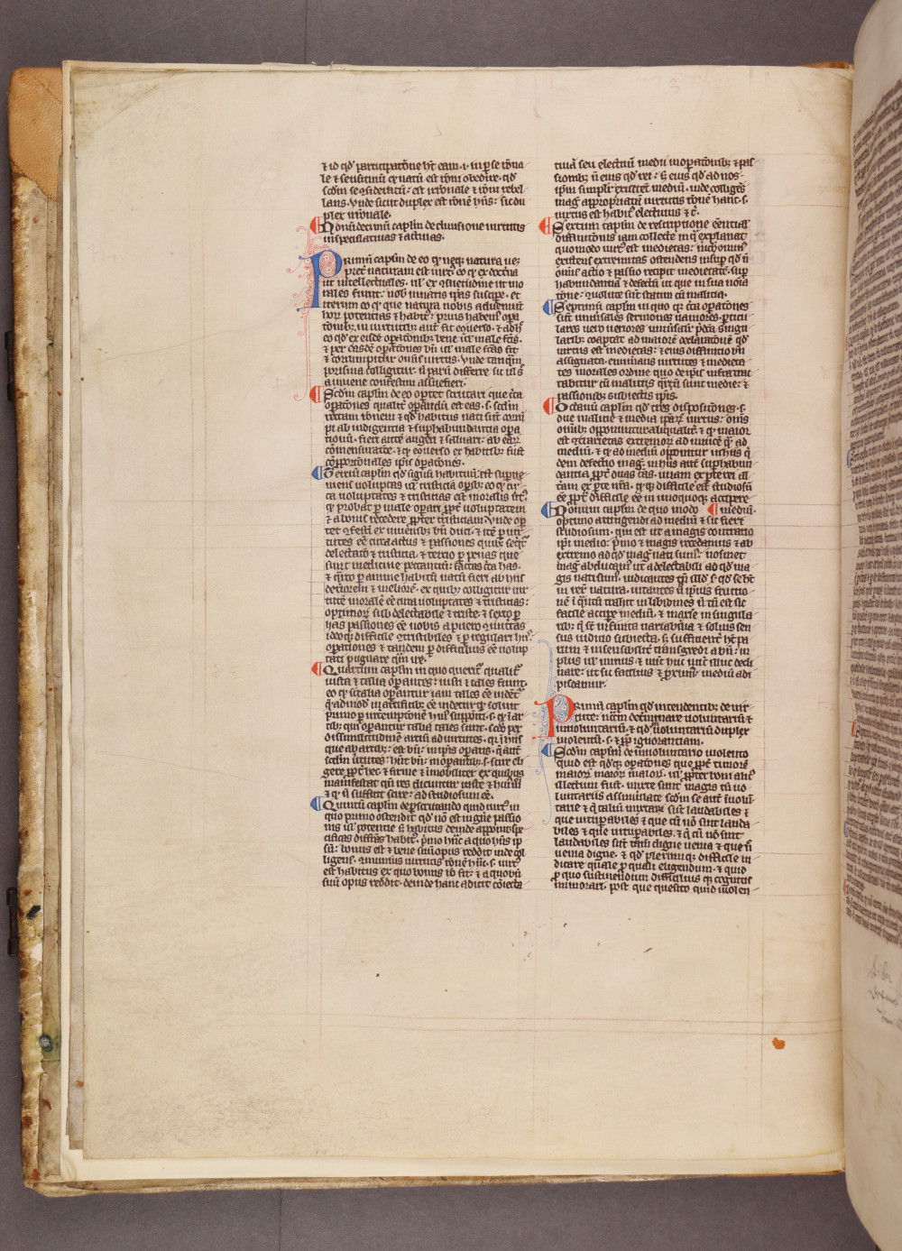 Folio 1 verso